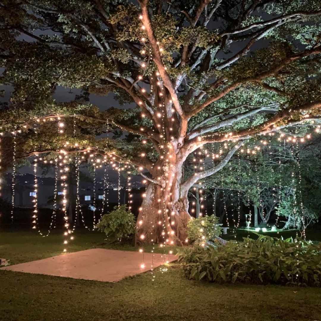 Permanent Outdoor LED Decorative Light Install in Perth Festoon