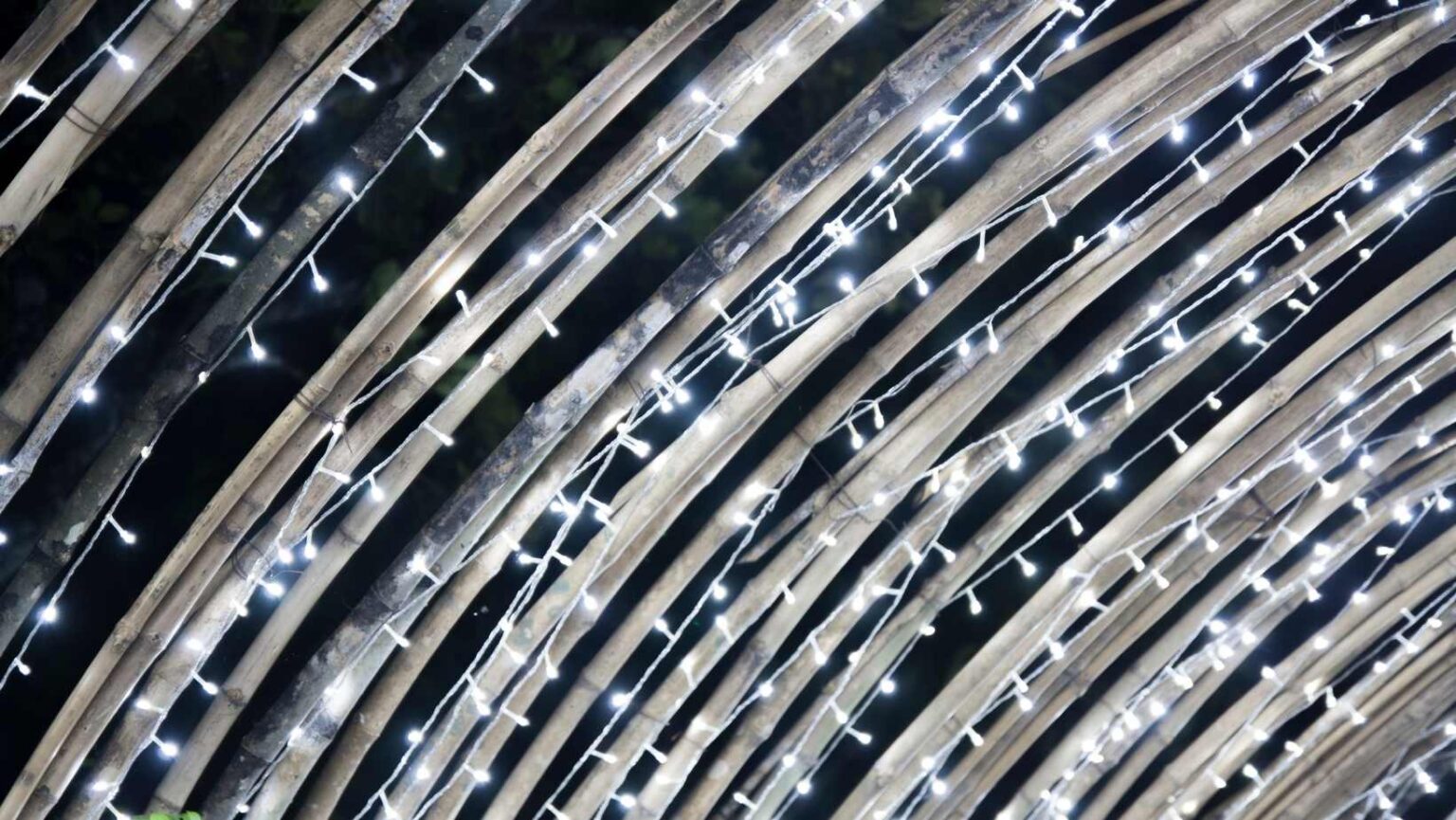 Festoon Lighting Perth Buy & Hire Festoon Lights