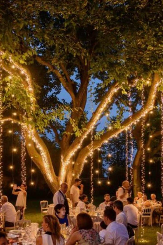 Fairy Lights Hire Festoon Lighting Perth