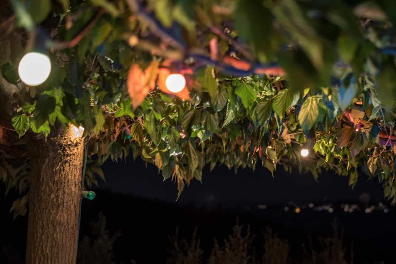 Event Lighting Hire Bayswater Hire Festoon Lights